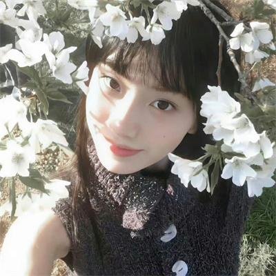 长安侠影之天谴之谜